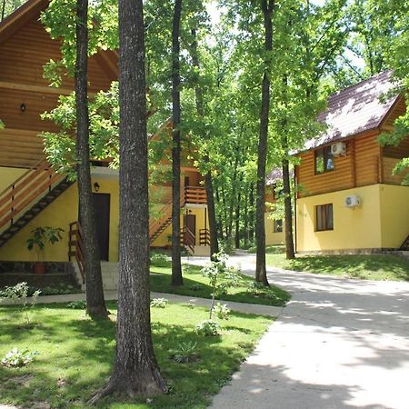 Вілія Hotel Lomacineţi Eksteriør billede