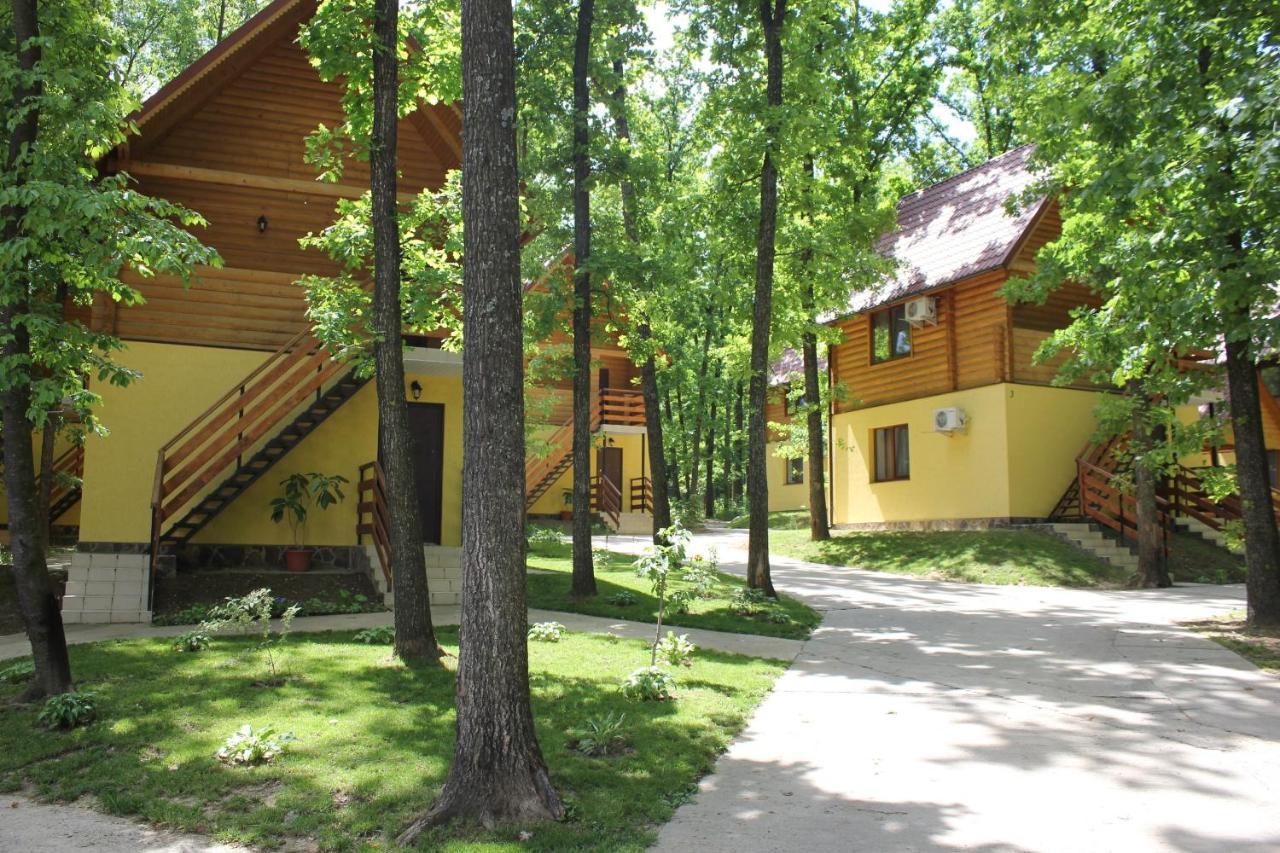 Вілія Hotel Lomacineţi Eksteriør billede